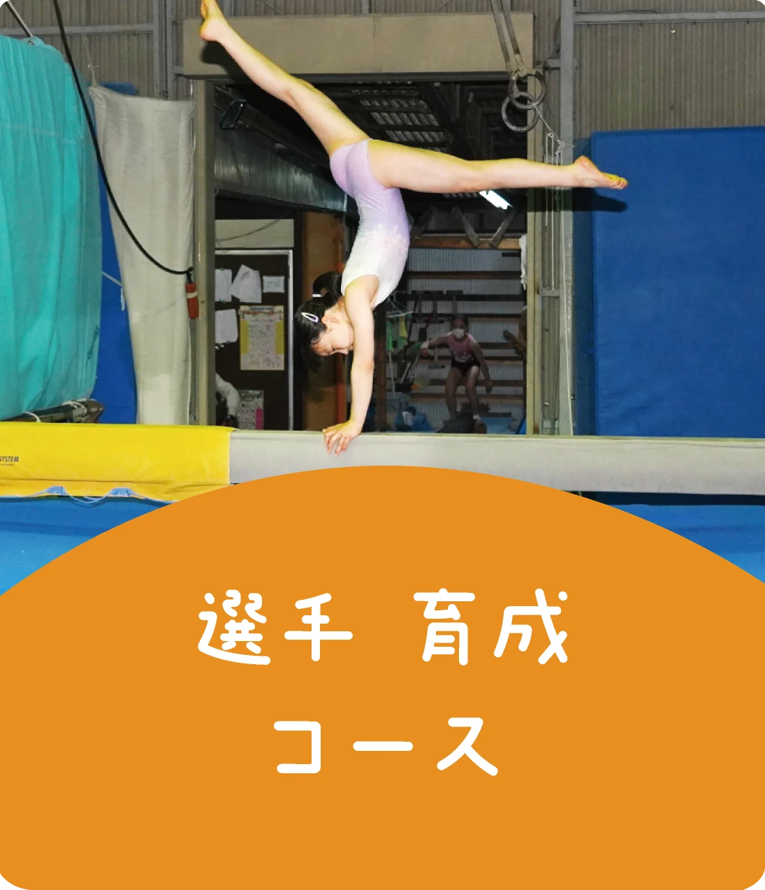 選手育成コース